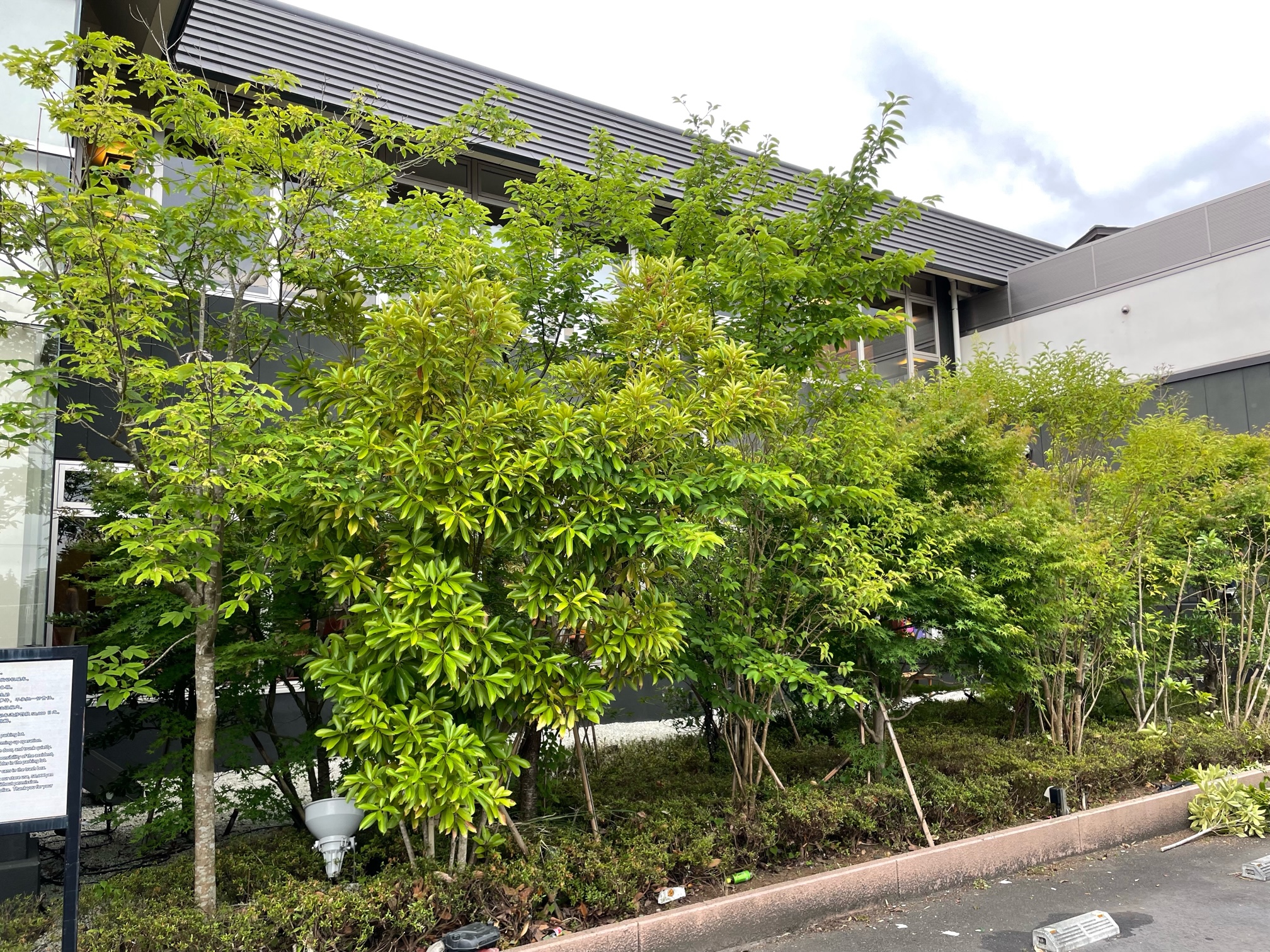 作業前
