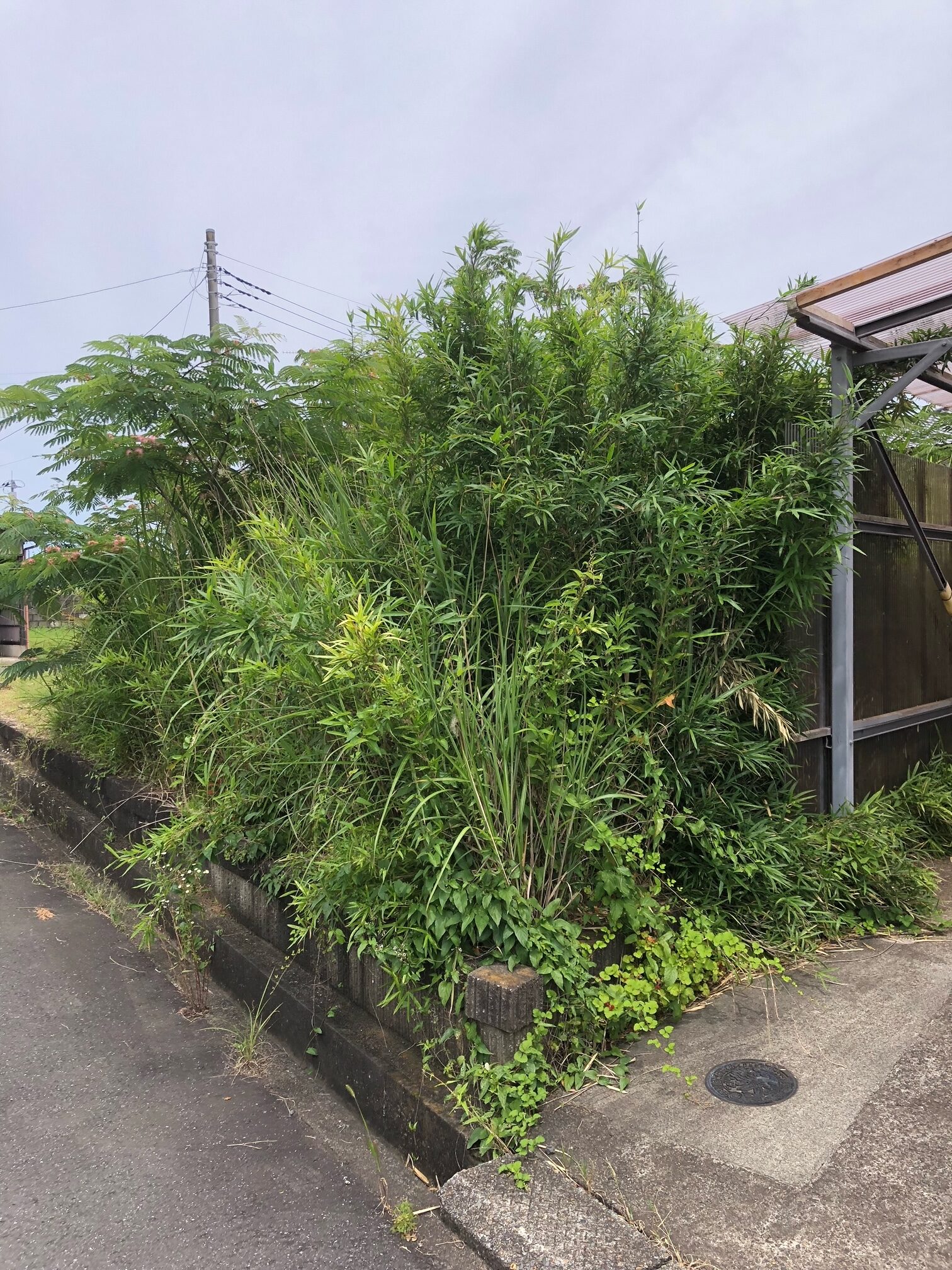 施工前状況