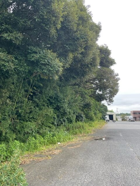 施工前状況